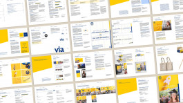 Styleguide zur Viadrina Kampagne mit Designrichtlinien – Kampagnen Konzept und Design für Viadrina.