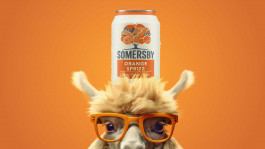 Alpaka mit orangefarbener Brille, das eine Somersby Orange Spritz Dose auf dem Kopf balanciert, vor orangem Hintergrund.